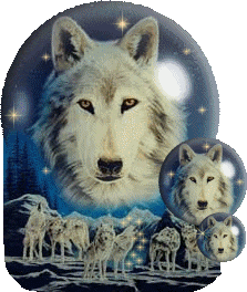 globe meute de loups